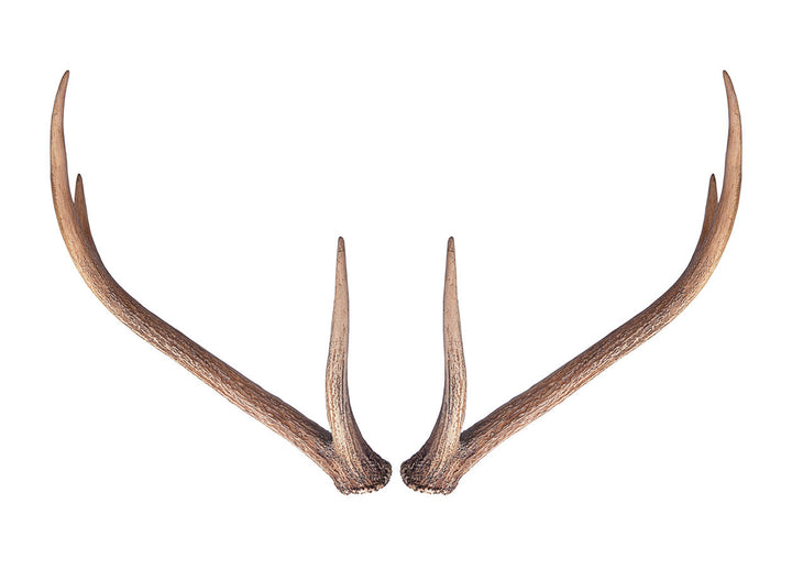 Wall Antlers