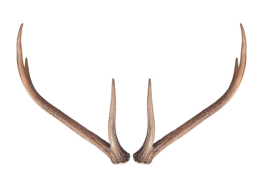 Wall Antlers