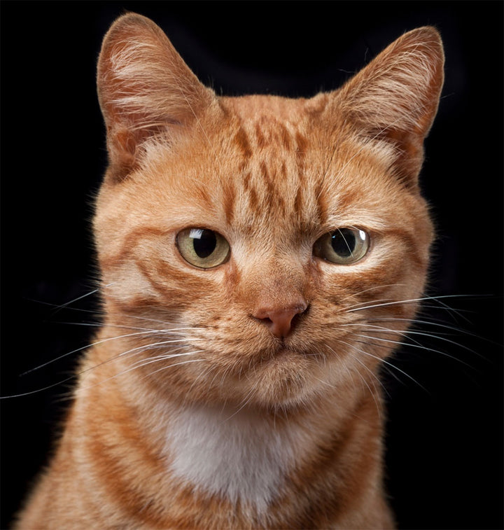 featured image test