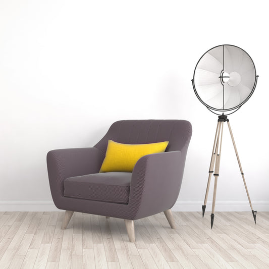 Low Lounge Chair