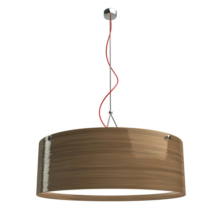 Copy of Wood Formed Poly Pendant