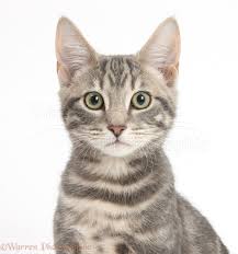 featured image test